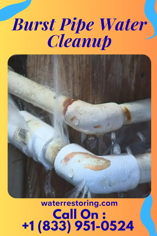 Burst Pipe Water Cleanup in Grenola, KS