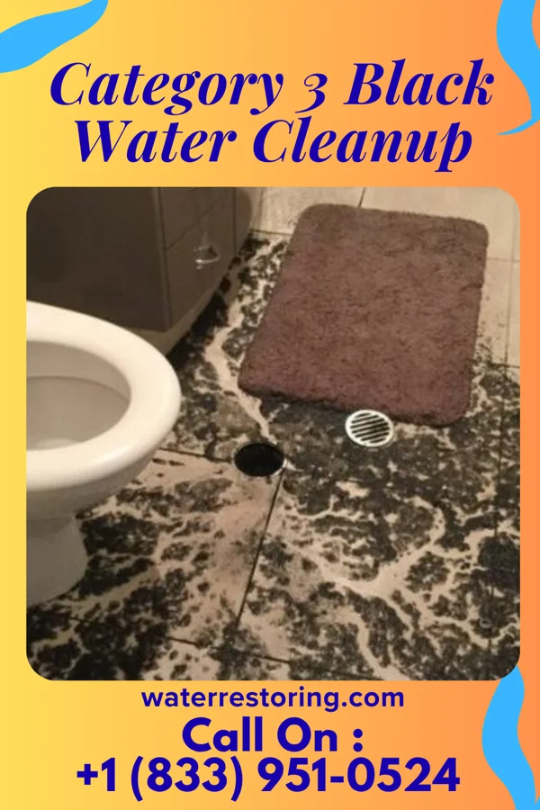 Category 3 Black Water Cleanup in Grenola, KS