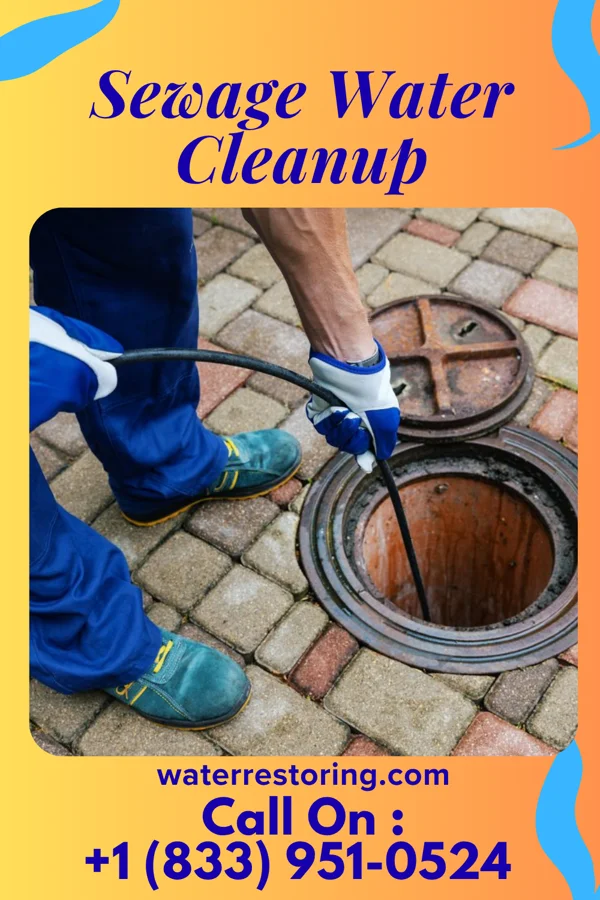 Sewage Water Cleanup in Grenola, KS